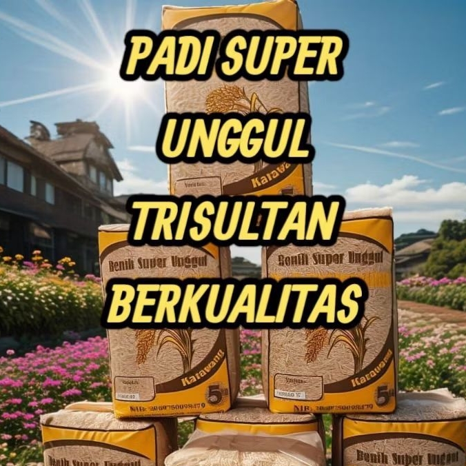 BIBIT PADI Super Unggul TRISULTAN KEMASAN 1KG