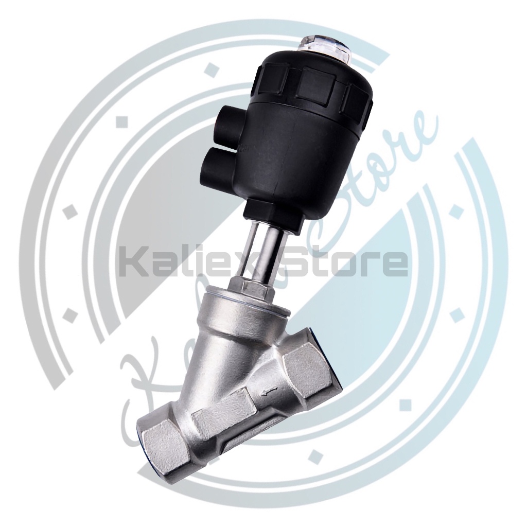 DN20 Double - Angle Seat Valve Double Acting Piston Valve Plastik Stainless Pressure 16 Bar Drat 3/4