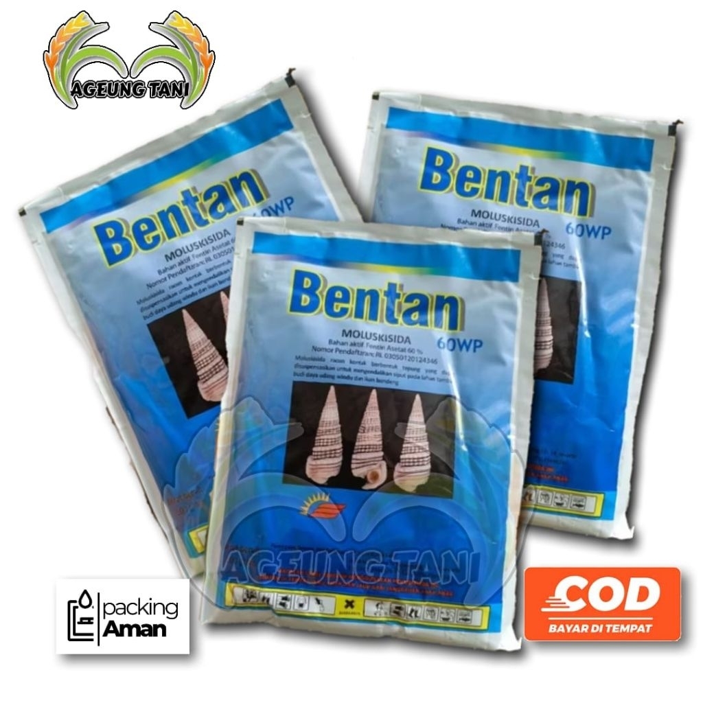 BENTAN RACUN KEONG DAN SIPUT 100gr ORIGINAL