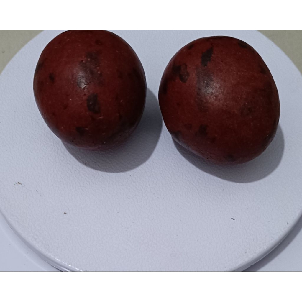 Geliga batu landak merah alami