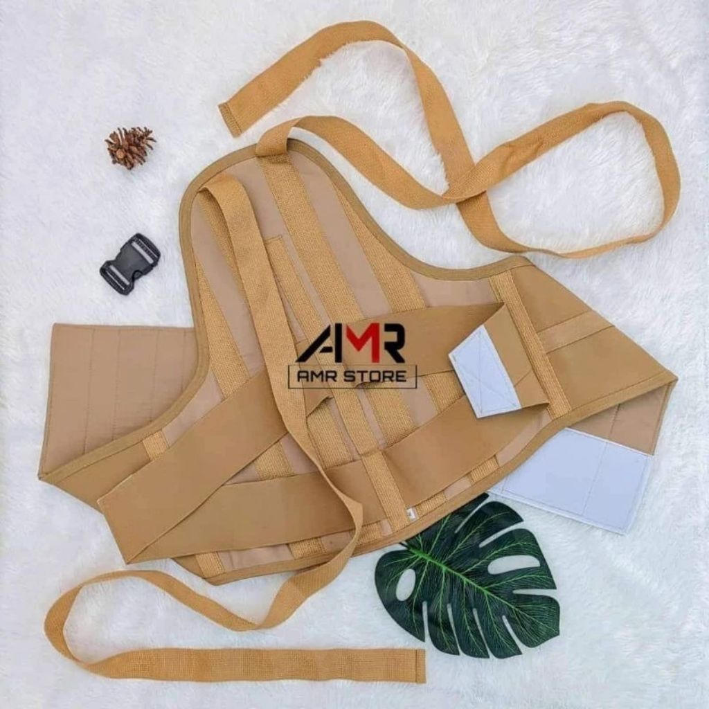 korset tulang belakang tlso