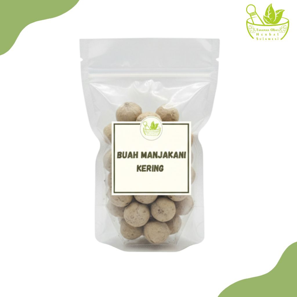 Buah Manjakani Kering (10 Buah)
