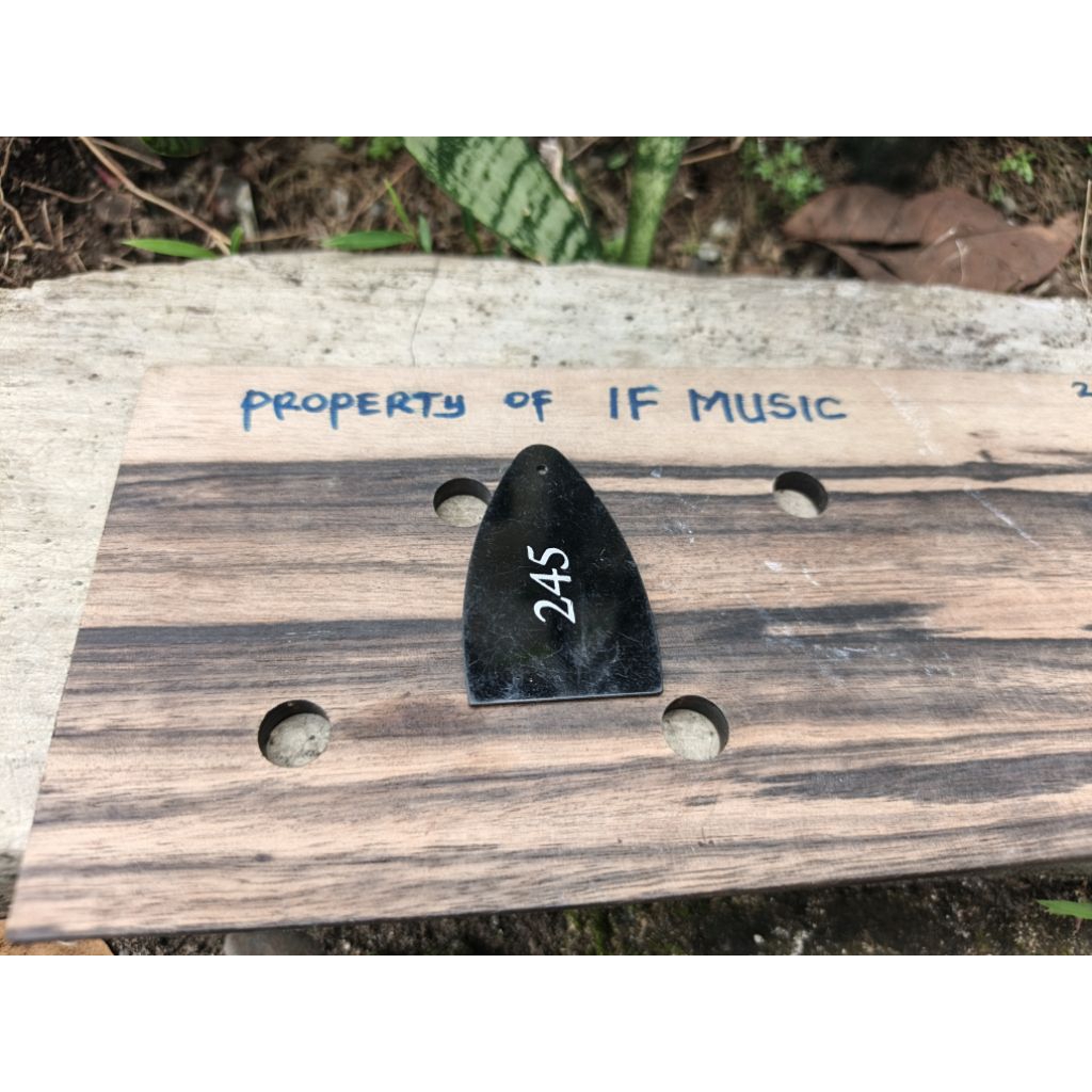 Cover Truss Rod Gitar PRS SE 245