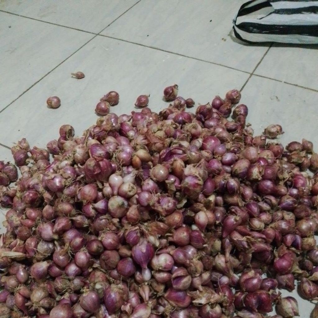 bawang merah nganjuk 1 kg