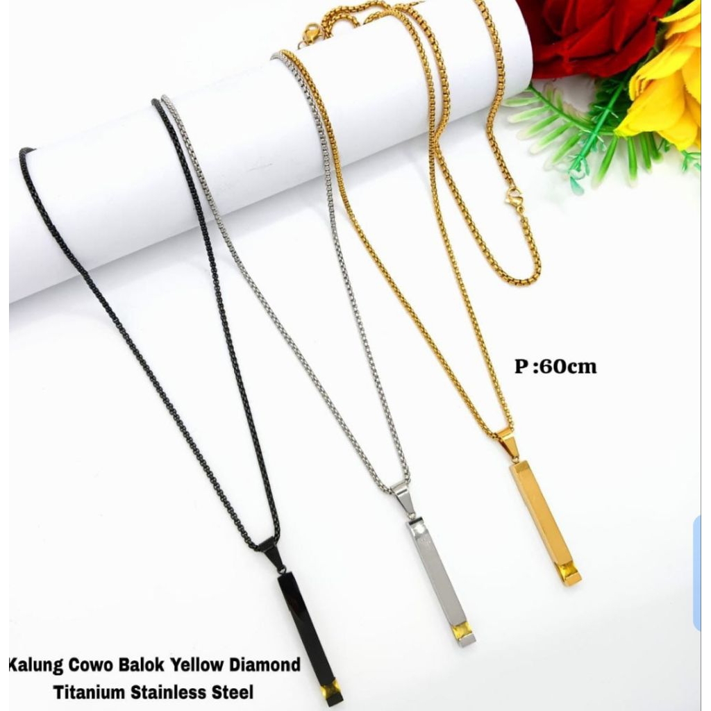 kalung liontin pria titanium