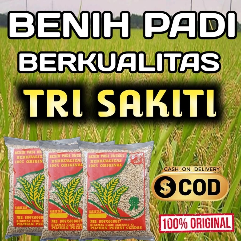 Benih padi unggul TRISAKTI kemasan 1kg