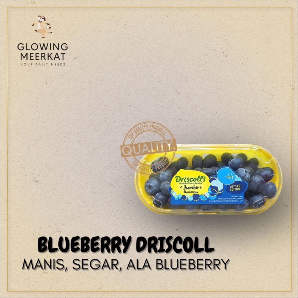 Blueberry Driscoll JUMBO Aussie