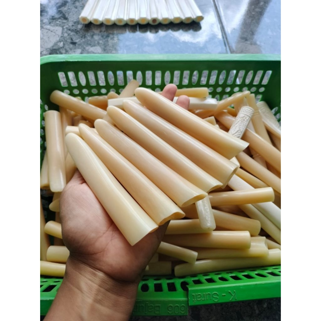 pipo tulang sapi model taring asli bukan resin