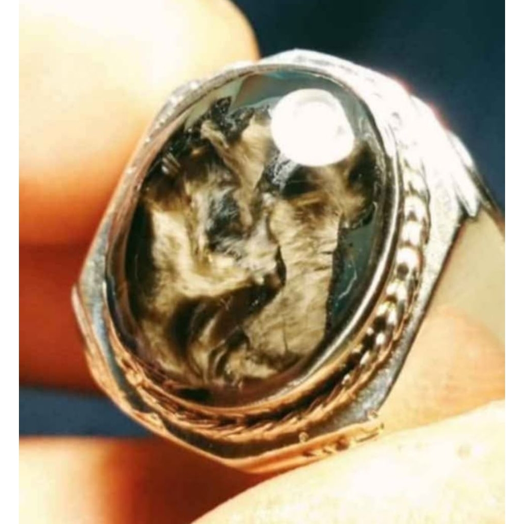 Natural  Basaltic Glass  / Bulu Macan Lumajang