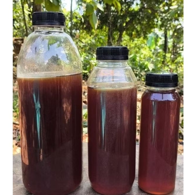 madu hutan kalimantan asli madu hutan kalimantan murni asli 100%madu hutan kalimantanmadu hutan kali