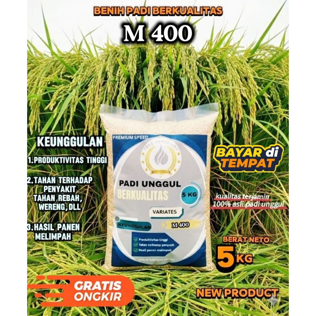 benih padi M400 benih berkualitas kemasan 5kg