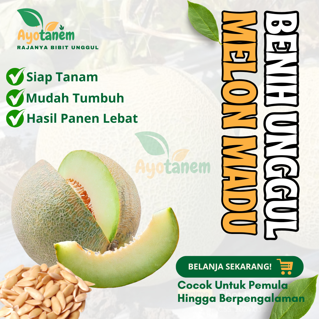 TERLARIS 20 Bibit melon madu super manis | bibit unggul melon madu | biji melon ecer siap tumbuh