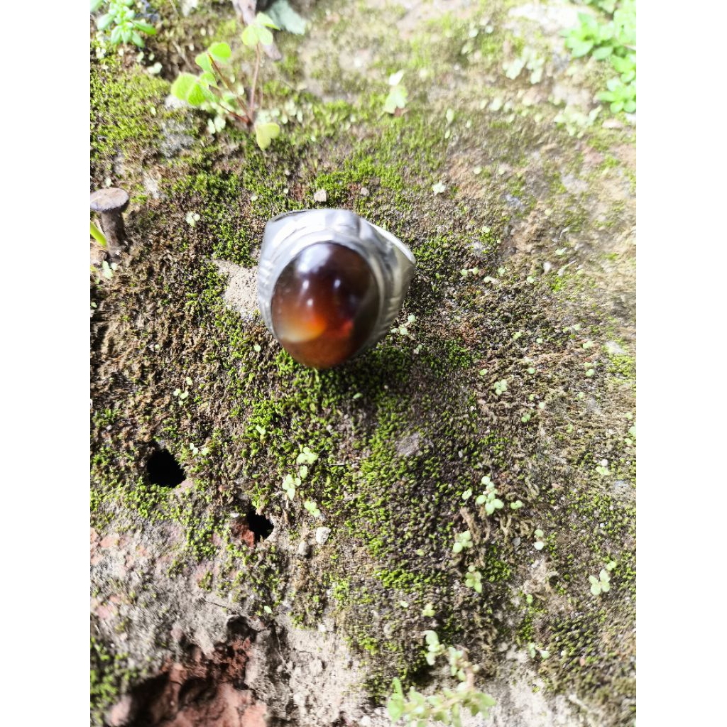 Batu Akik Getah Katilayu Lawasan