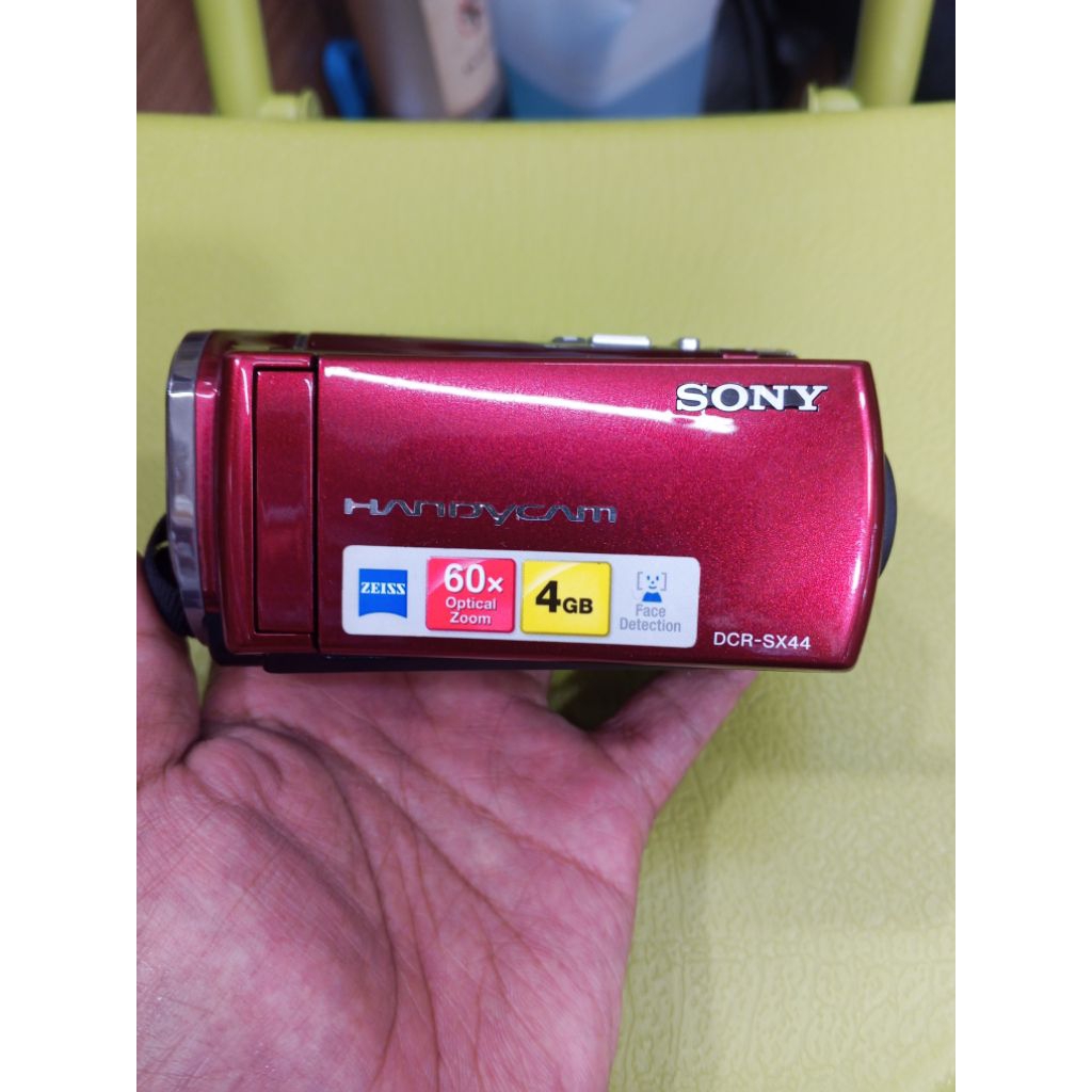 SONY DCR SX44