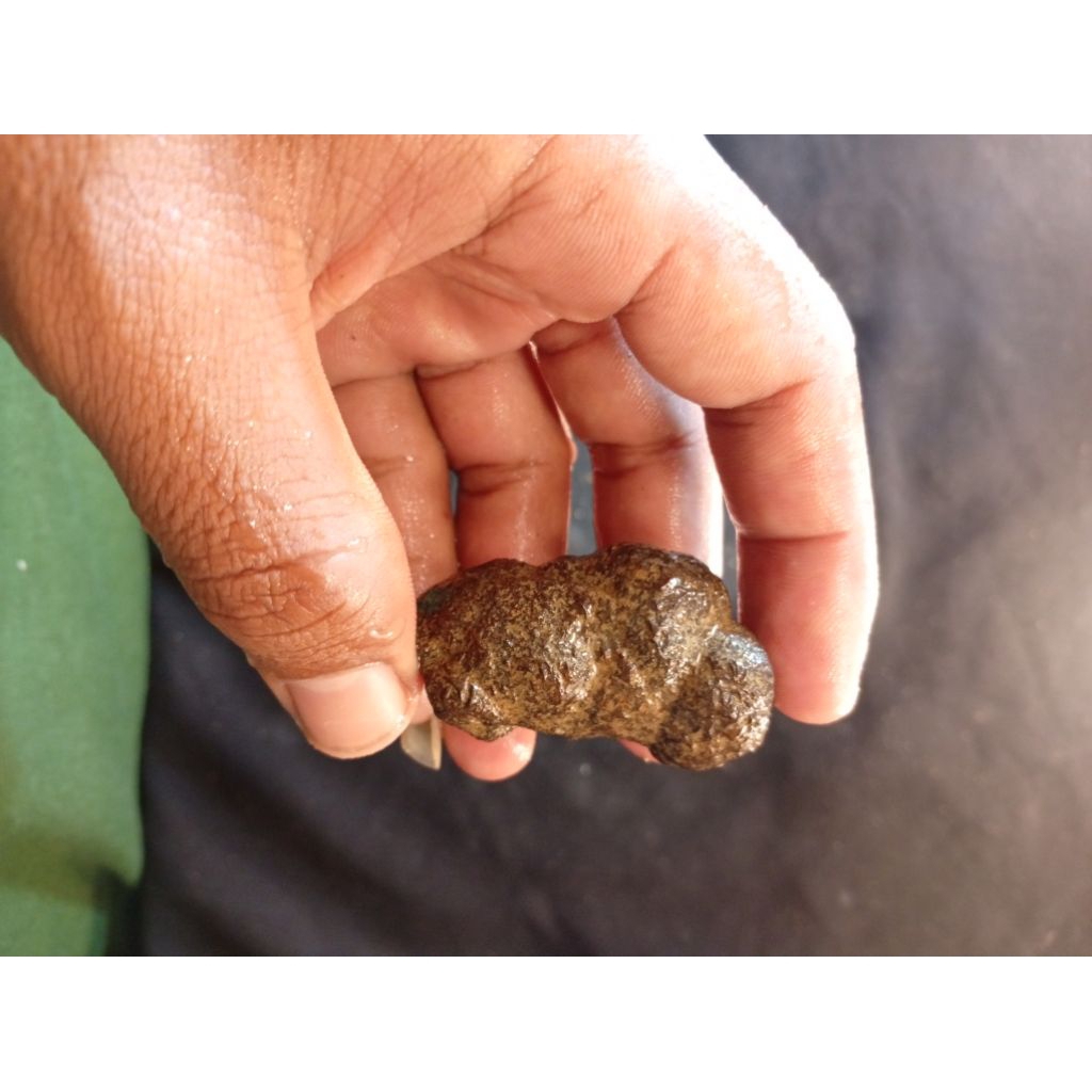 hasil temuan alam batu unik/bagian dari artefak kuno dan tulang hewan purba 4