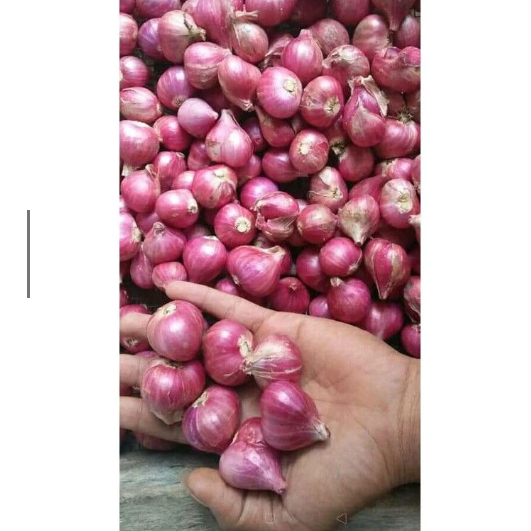 BAWANG MERAH BREBES SUPER 1KG