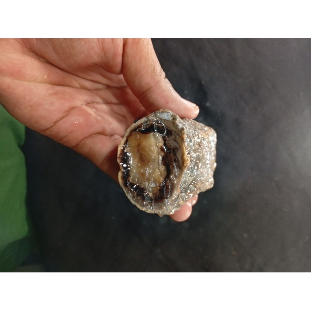 hasil temuan alam batu akik geode(agate geode) badar emas A39B