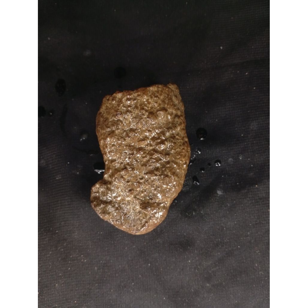 temuan alam batu unik/bagian dari artefak kuno dan tulang hewan purba 40