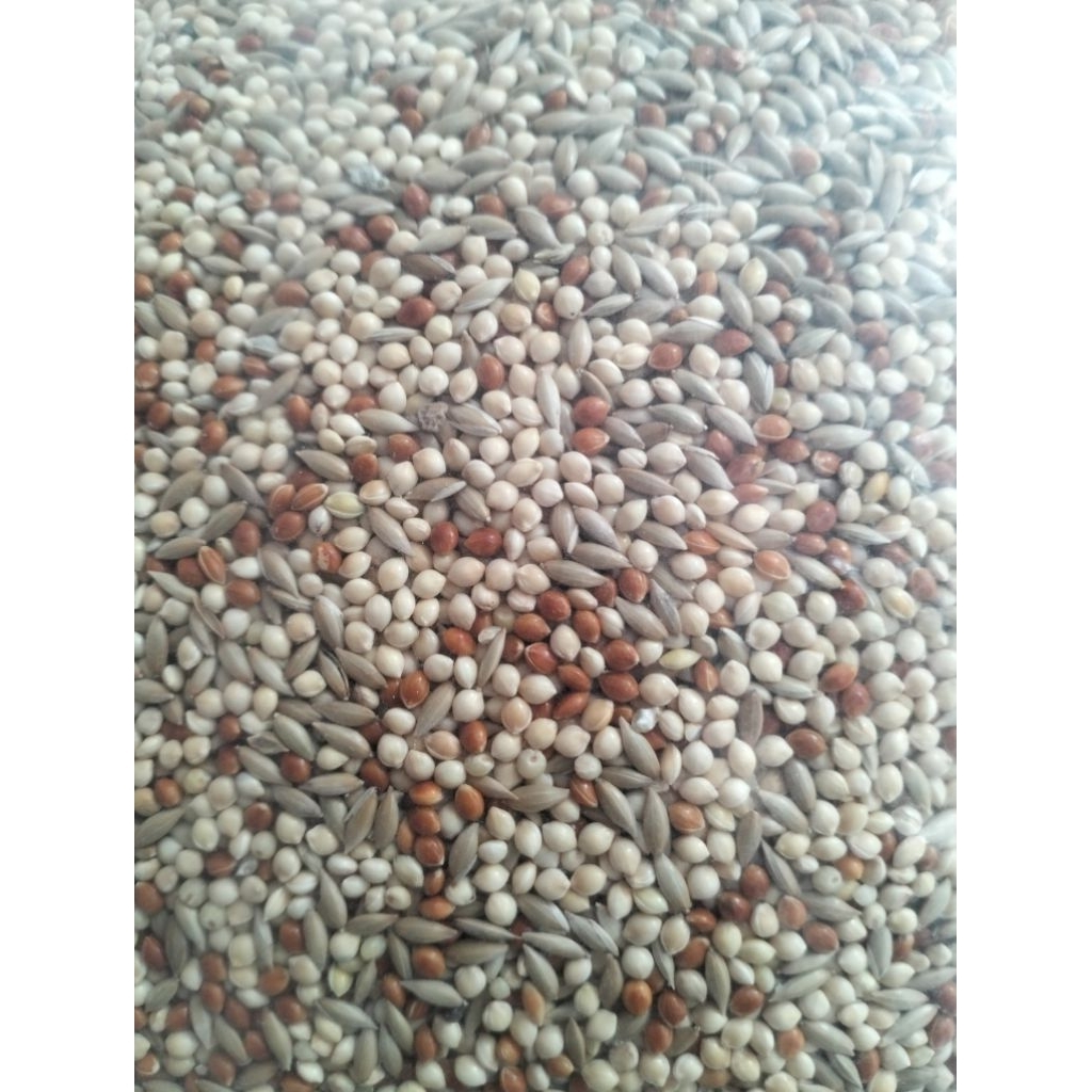 pakan campur Lovebird berat 1kg.