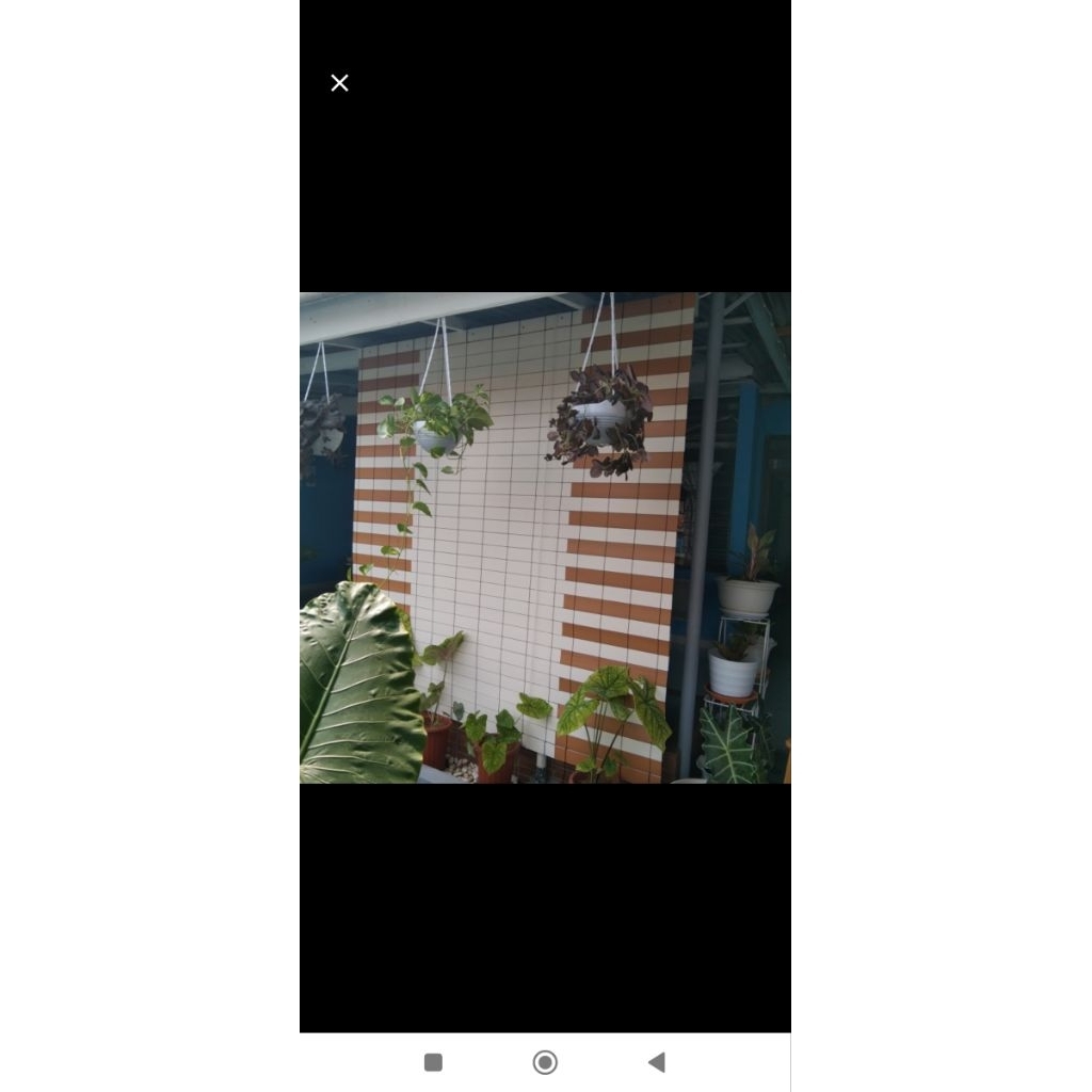 tirai pvc outdoor L 3.5x T 2.5