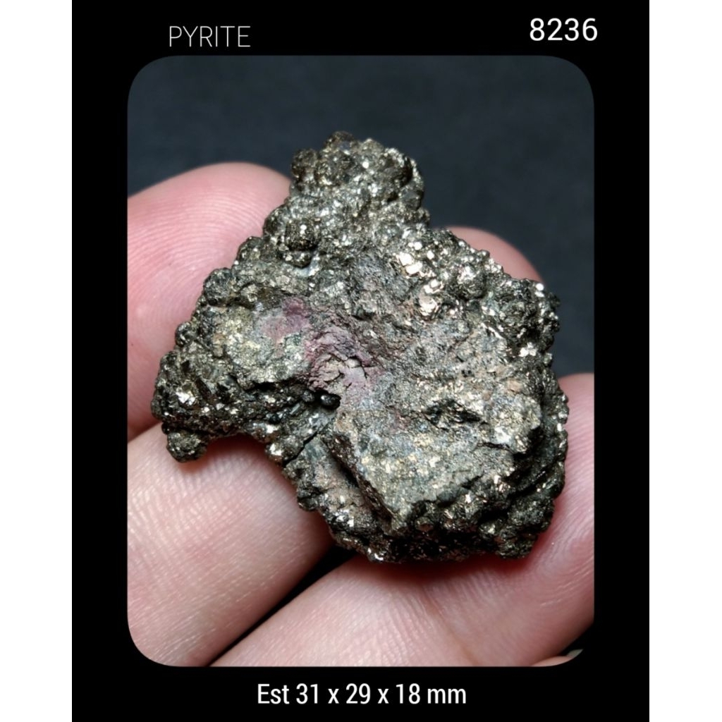 8236 Batu Pyrite