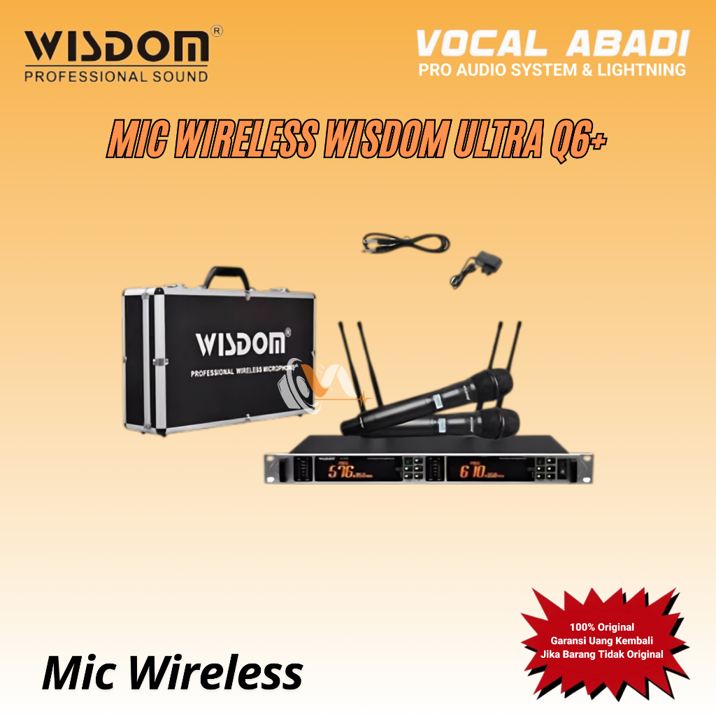MIC WIRELESS WISDOM ULTRA Q6+