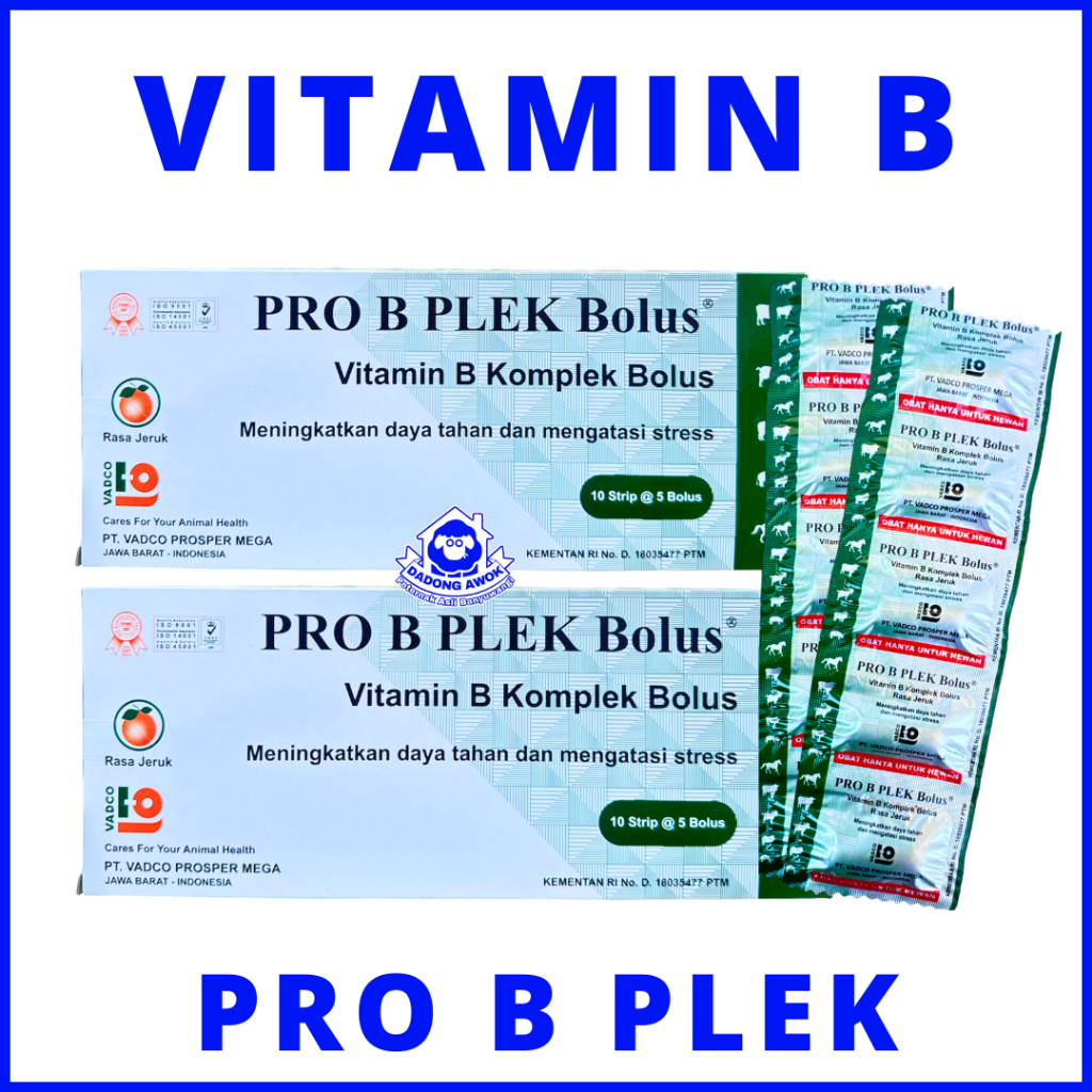 PRO B PLEK BOLUS vitamin b komplek sapi kambing domba hewan ternak vadco meningkatkan nafsu makan