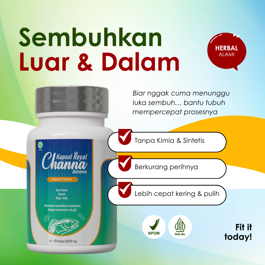 Pengering Luka Pasca Operasi Luka Diabetes Luka Basah Jahitan Kapsul Ikan Gabus Premium