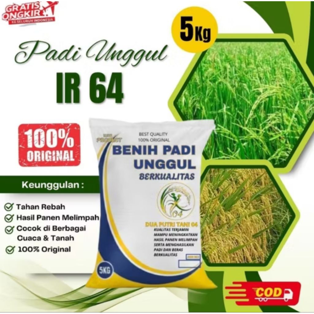 Benih Padi Unggul IR 64 Kemasan 5kg