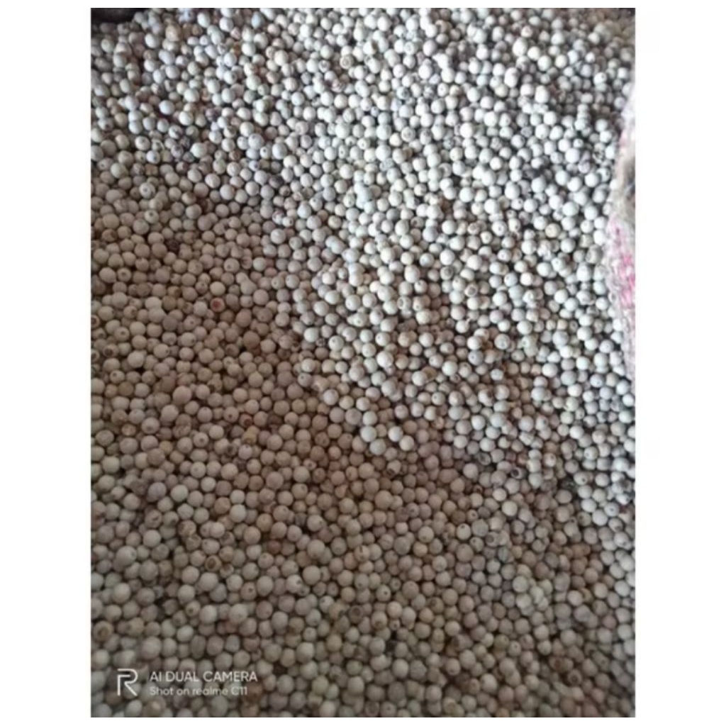 MERICA 1KG/2KG/3KG KUALITAS SUPER