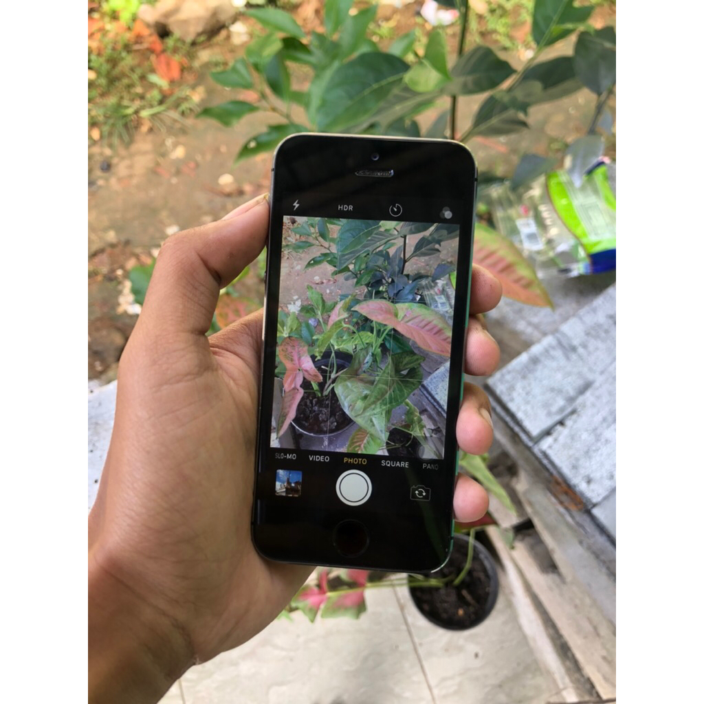 iphone 5s 16 gb ibox bypass wifi only