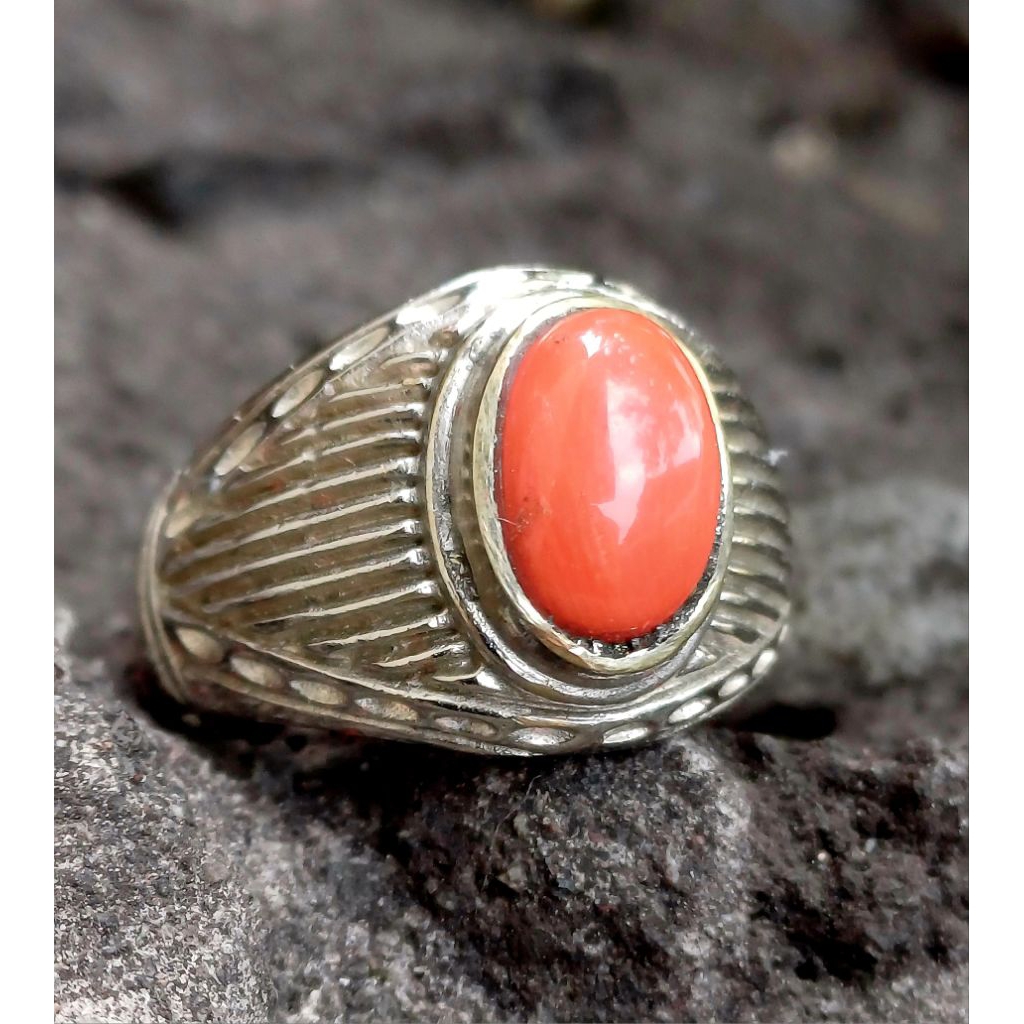 Natural Marjan Laut Merah