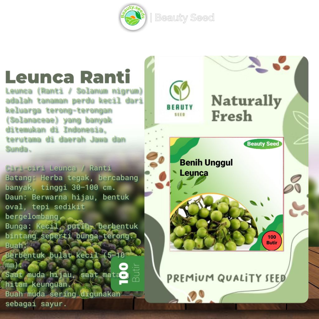Benih Bibit Leunca Ranti - Bibit Leunca/Lenca/Lunca/Ranti 100 Butir