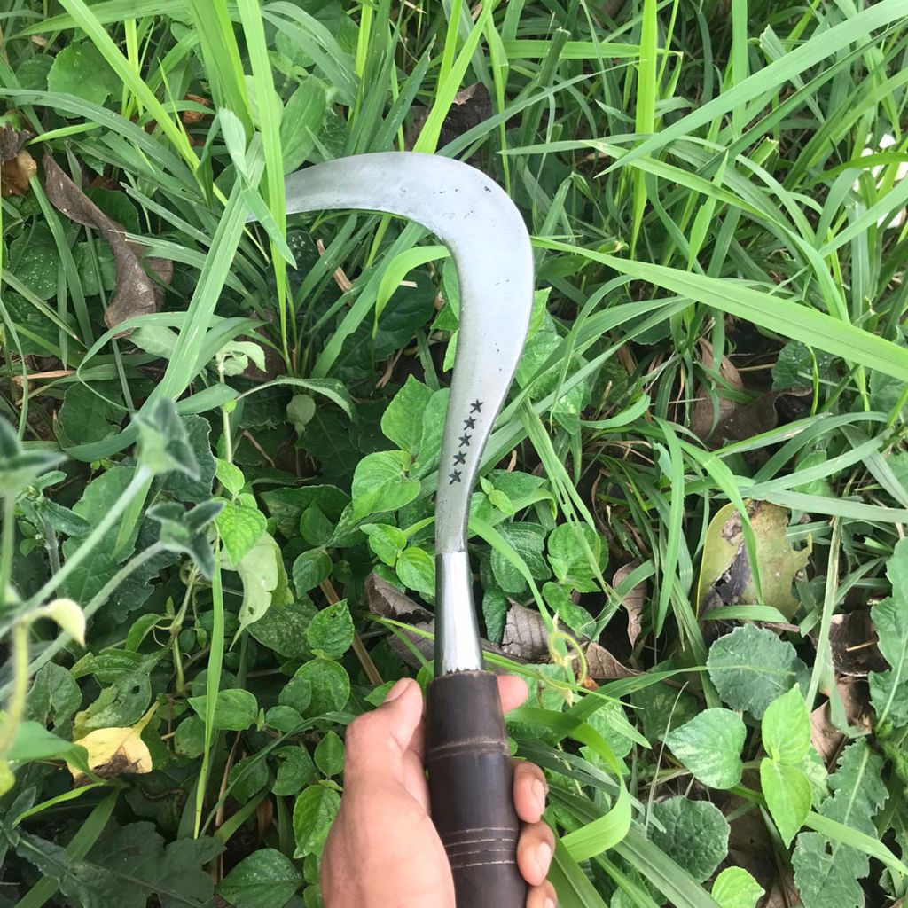 alat petani perkebunan sabit bintang lima bahan baja asli murni Madura