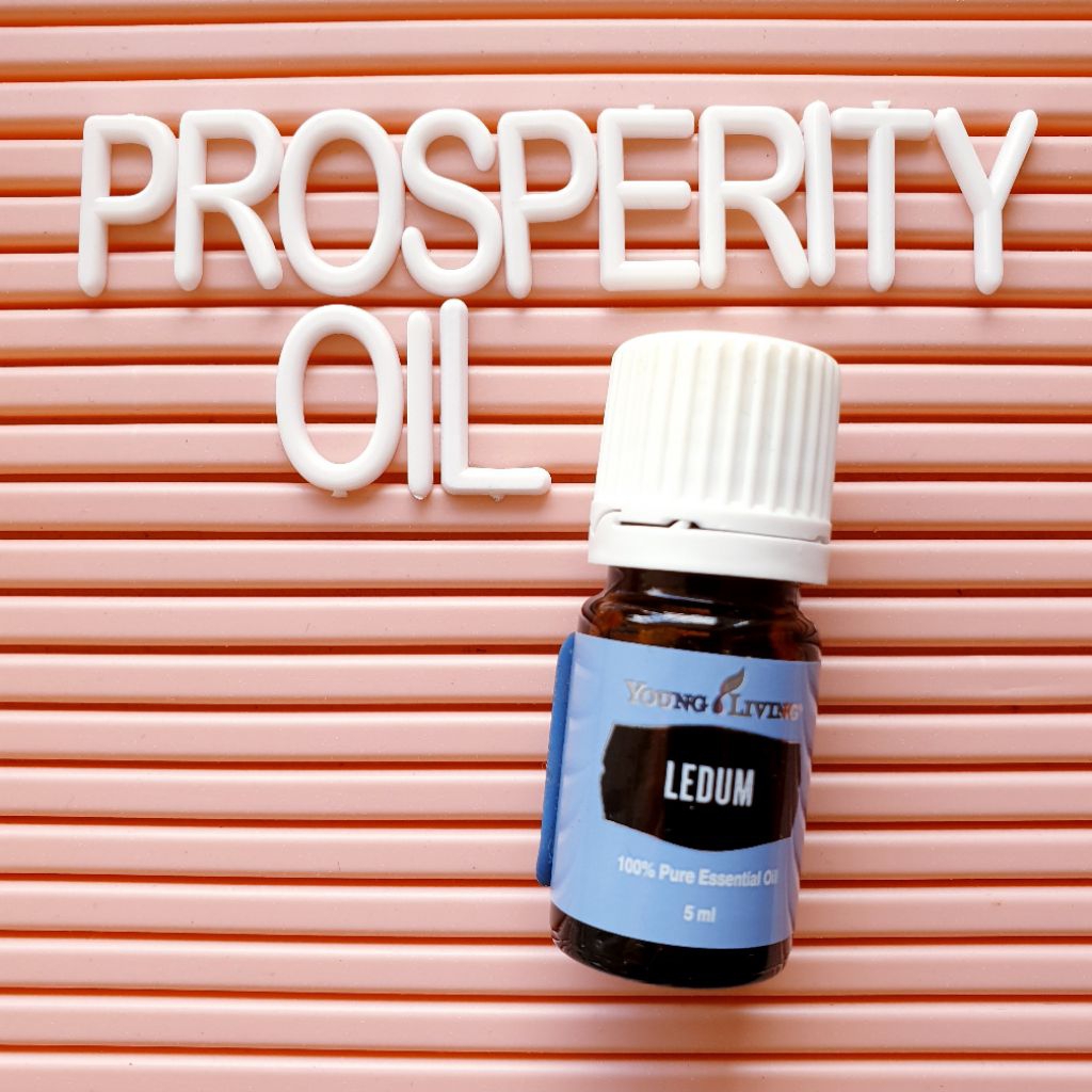 Ready Stock Young Living Ledum Essential Oil 5ml