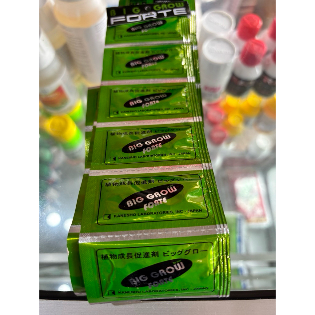 Big Grow 5 gr ZPT Pembesar Buah exp 2024