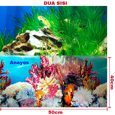 Wallpaper Background Aquarium Tinggi 40 Cm Panjang 50 Cm Motif 13