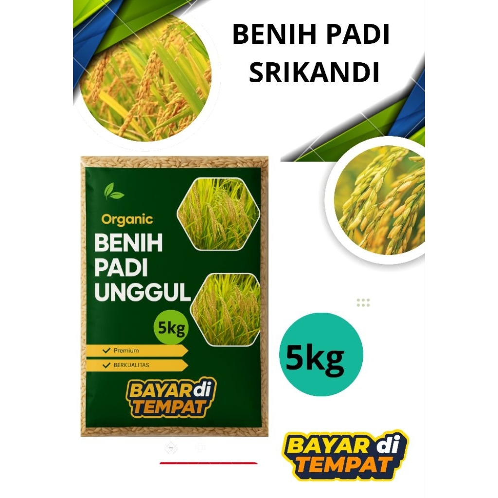 BENIH PADI UNGGUL SRIKANDI KEMASAN 5KG