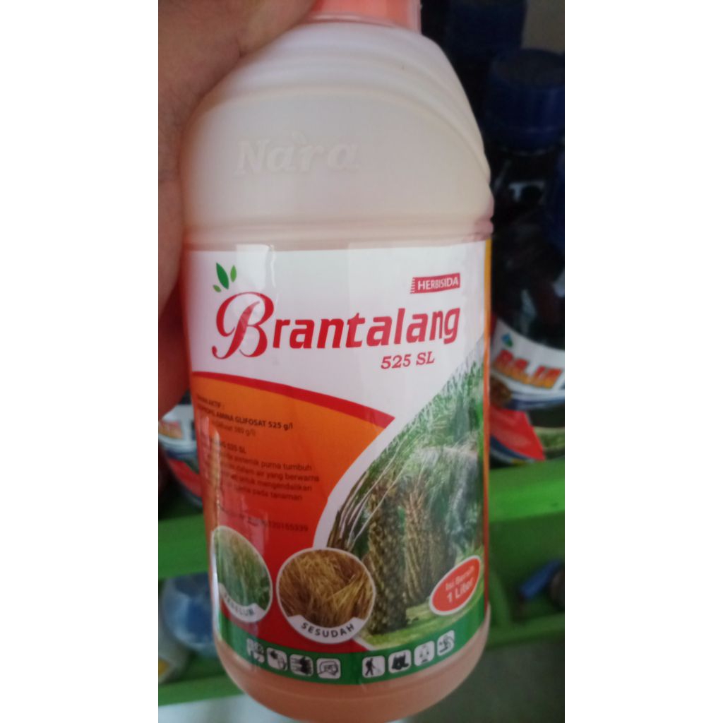 herbisida BERANTALANG 525 SL