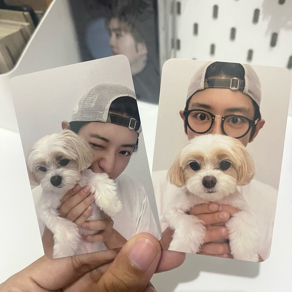 Official Photocard Chanyeol Upside Down POB Zzar Mumo Japan | Bunbble Mochi