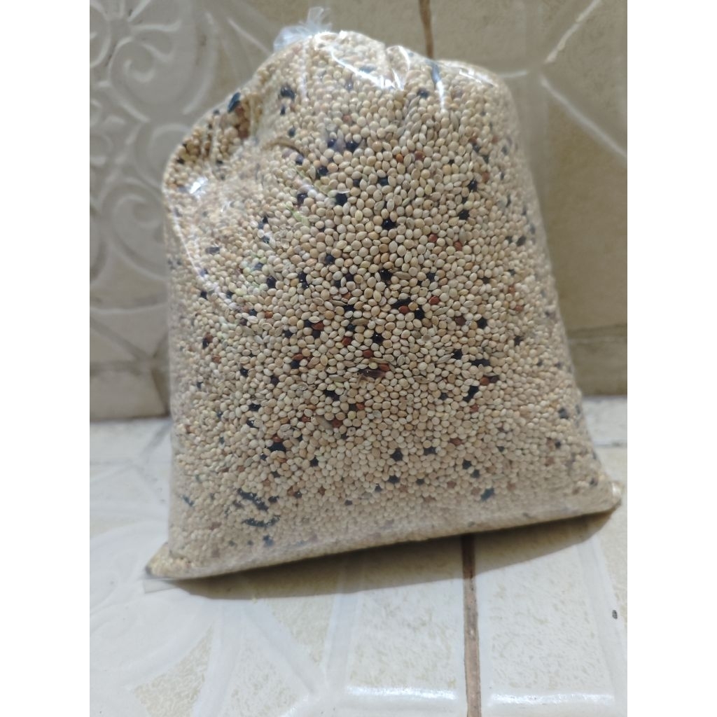 PAKAN PERKUTUT 1KG MAKANAN BURUNG PERKUTUT 1KG MILET PUTIH CAMPUR KETAN HITAM PAKAN KOMPLIT KUTUT