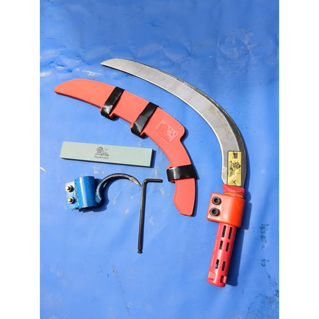 Egrek kls palmking  Problade