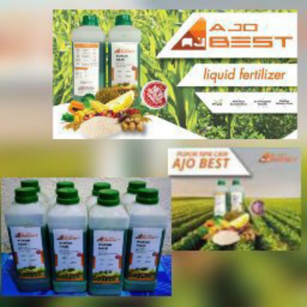 Pupuk Ajo Best