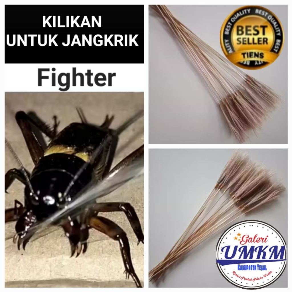 kilikan jangkrik kalung emas BELI 1 GRATIS 1 kilikan jangkrik genggong
