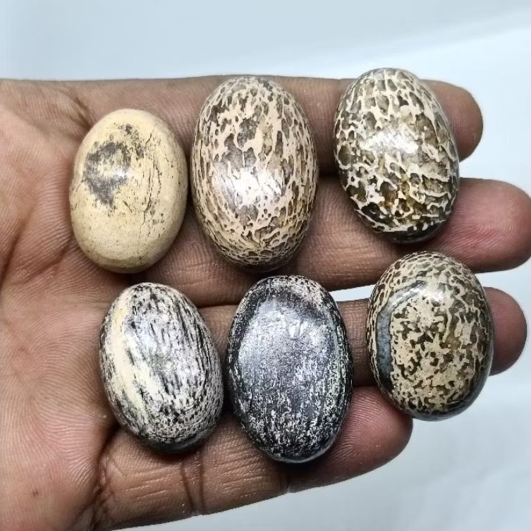 Original Batu Anti Wisa , Jumbo , Asli Cirebon