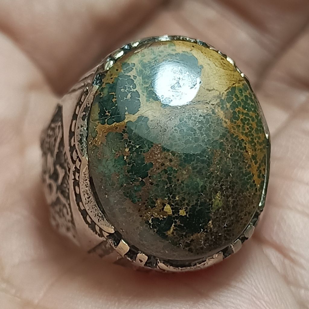 Pirus persia deepgreen beras wutah