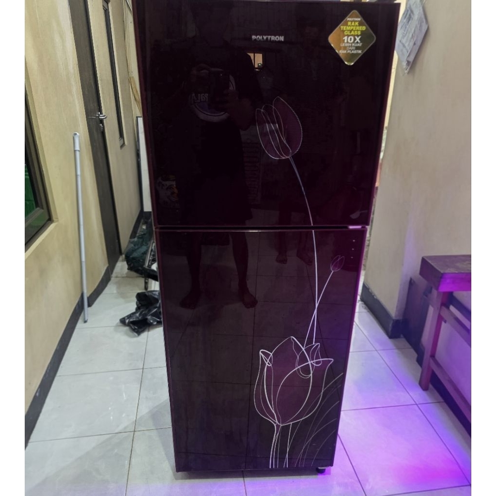 kulkas 2 pintu polytron