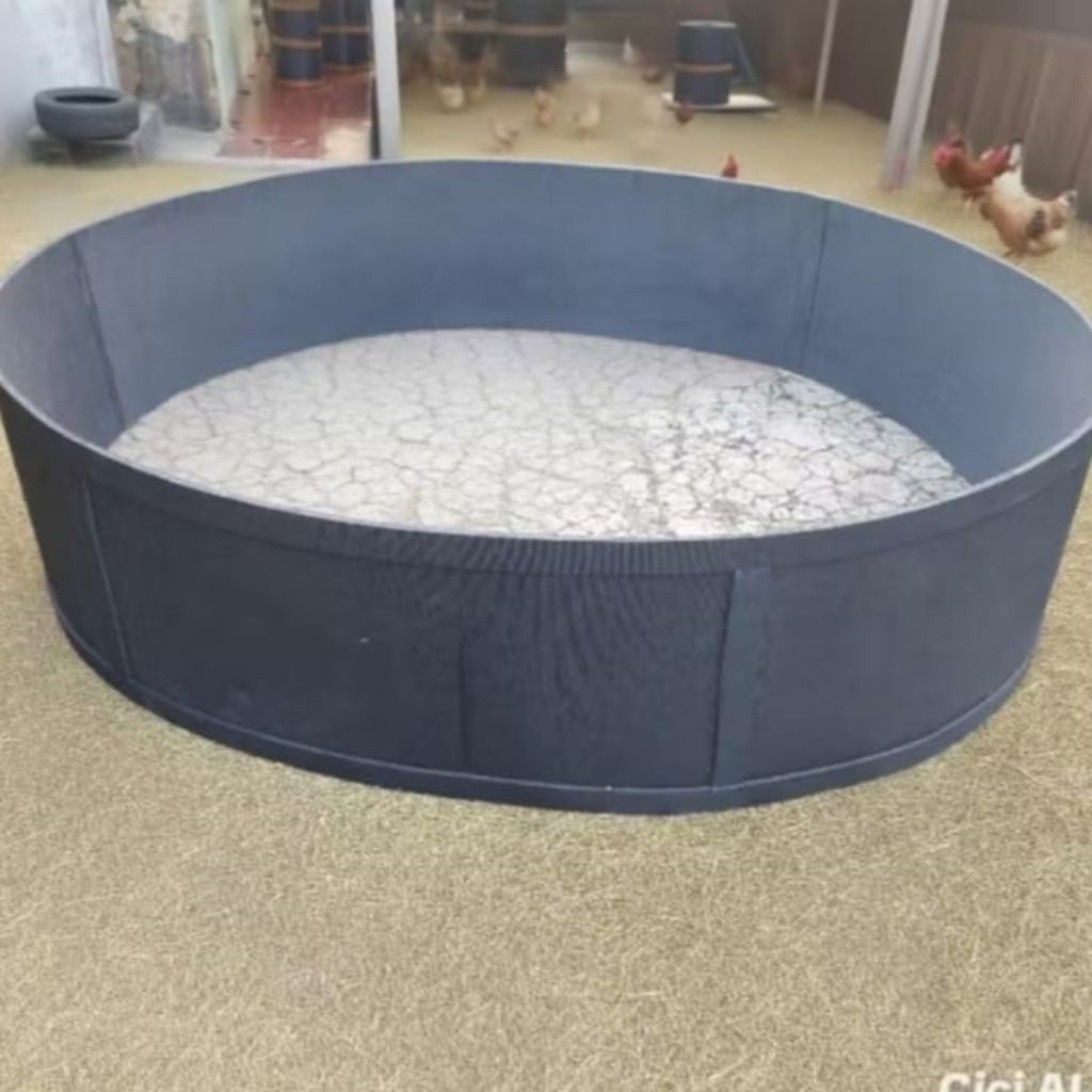 RING ADUAN AYAM GEBER TERMURAH