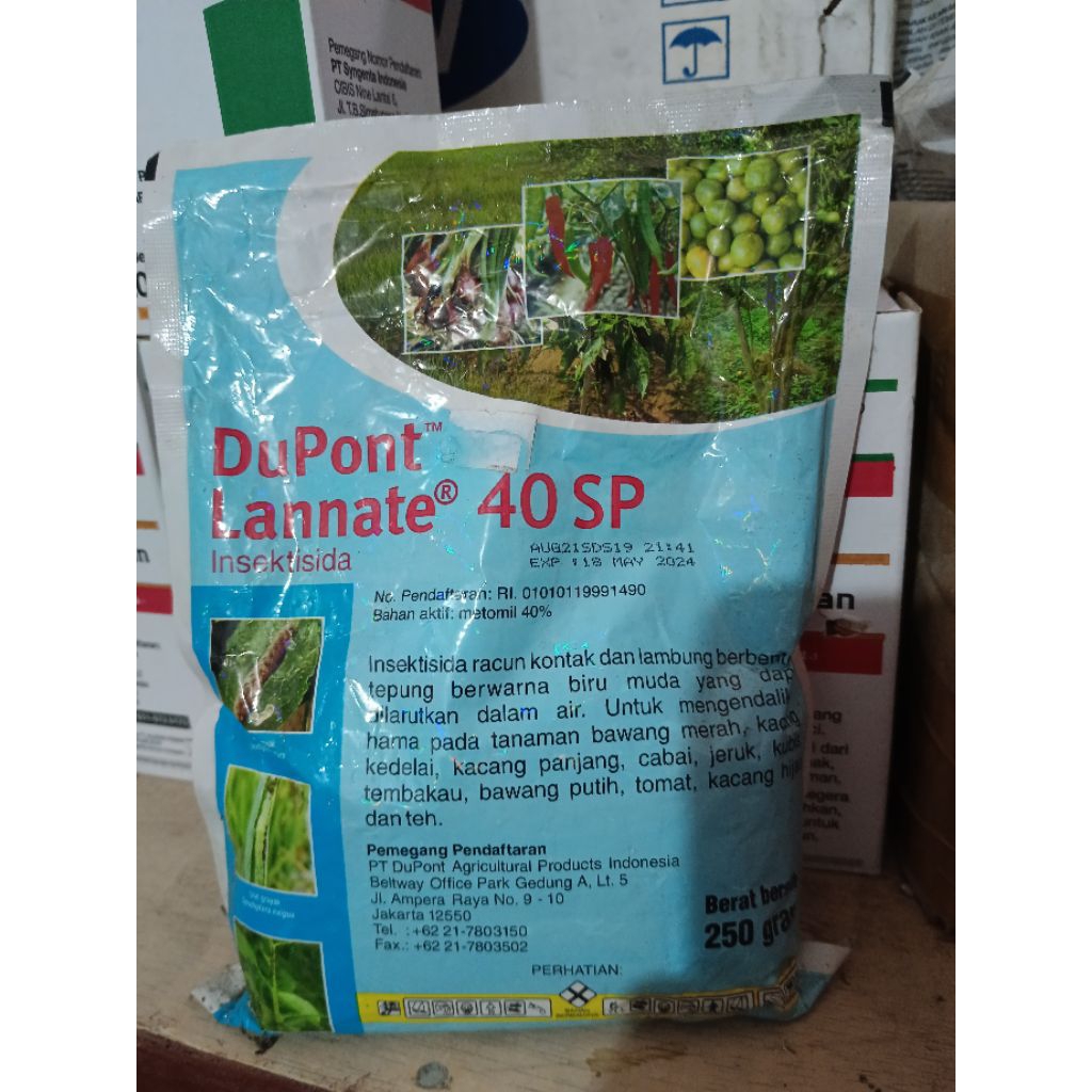 DUPONT LANNATE 40SP biru  Kemasan 100gr, 250gr, 500gr