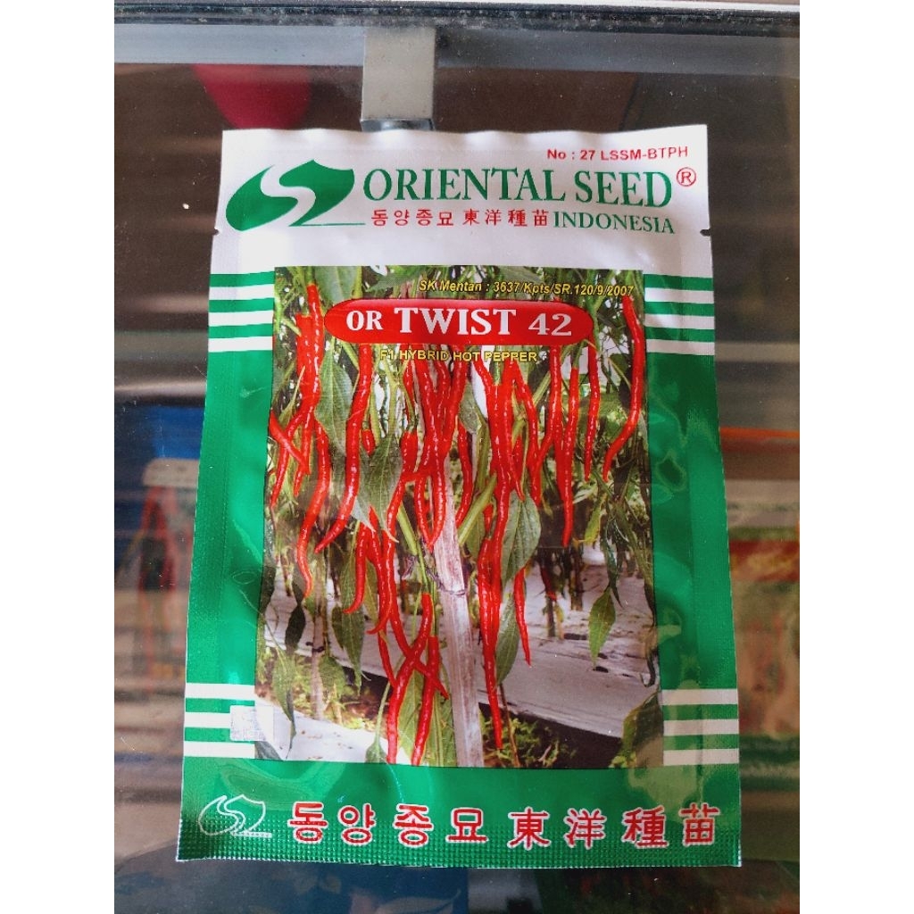 benih cabai keriting OR twist 42